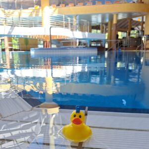 Ente drin