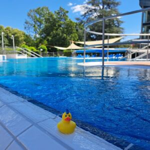 Ente_2025